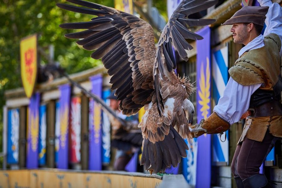 Les Epesses: Puy du Fou Theme Park 1-Day Entry Ticket - The mobile app and translations: how to follow the action