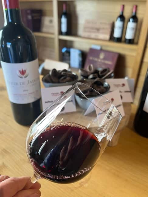 Libourne: Winery Tour with Wine and Chocolate Tasting - Walking the vines: Luquot farm choices and soil life