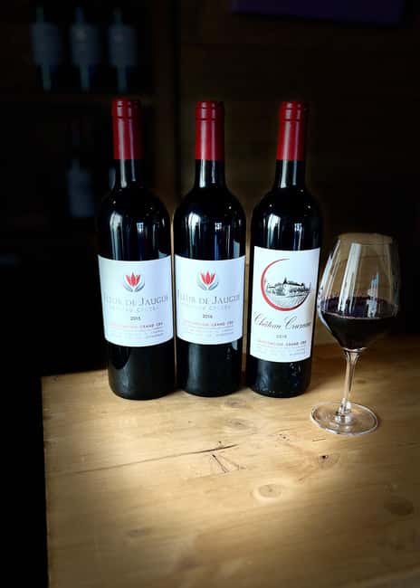 Libourne: Winery Tour with Wine and Chocolate Tasting - Vat room and barrel cellar: where the tour turns real