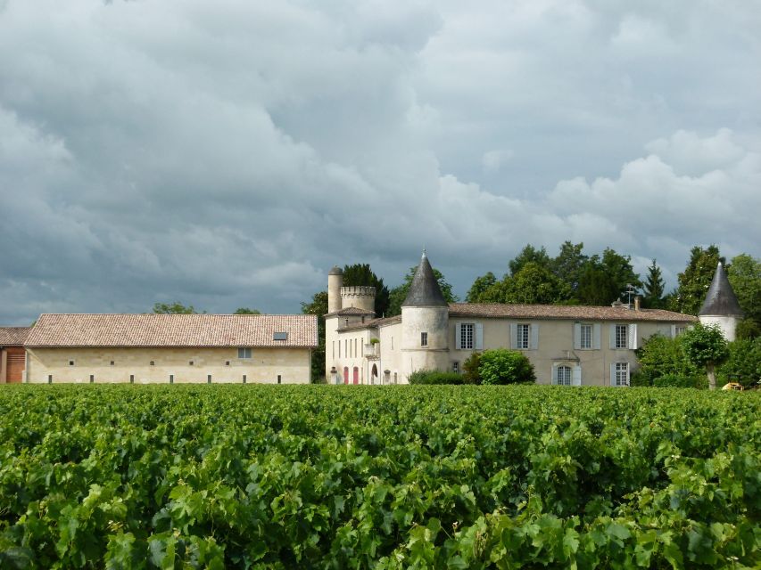 Libourne: Winery Tour with Wine and Chocolate Tasting - What to ask your guide during the tour (so you get more out of it)