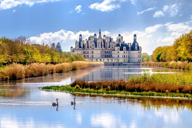 Loire Valley Castles Day Trip from Paris with Complementary Wine - Blois lunch stop near Square Louis XII, plus the quick Royal Blois pass