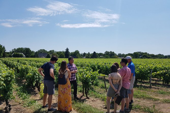 Loire Valley Half Day Wine Tour from Tours : 2 local wineries - Key things to know before you go