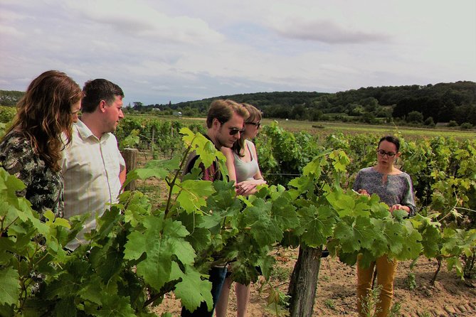 Loire Valley Half Day Wine Tour from Tours : 2 local wineries - A 2:30 pm Start Means Your Morning Stays Yours