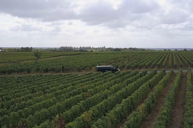 Loire Valley Half Day Wine Tour from Tours : 2 local wineries - Meeting Point at Office de Tourisme de Tours Loire Valley (And What to Bring)