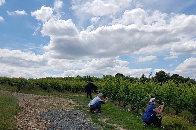Loire Valley Half Day Wine Tour from Tours : 2 local wineries - Amboise Stop: AOC Touraine Tasting in the Loire’s Best-Loved Areas