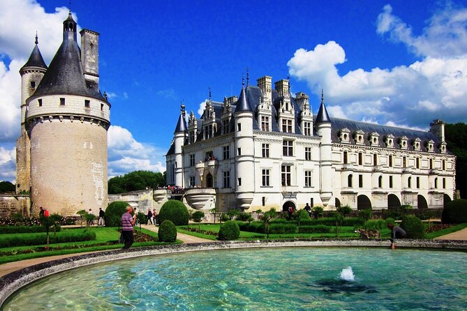 Loire Valley Royal Castles Guided Small group Day Trip from Paris - Plou et Fils winery tasting: seven wines and family-run pacing