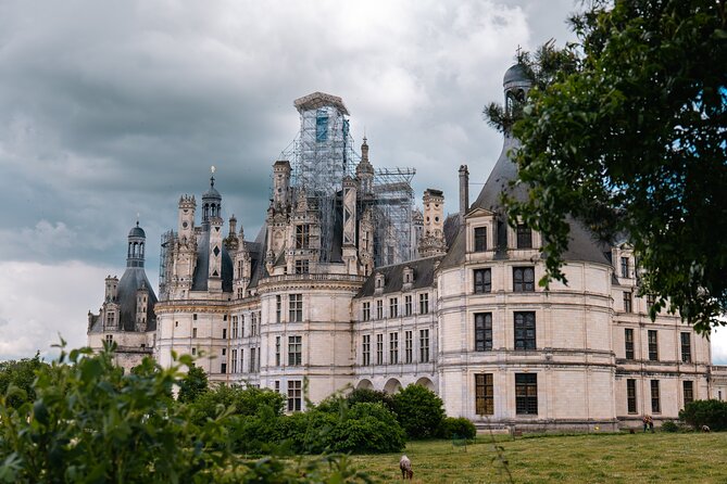 Loire Valley Tour Chambord and Chenonceau from Tours or Amboise - Tours or Amboise, meet up, and settle into the rhythm (8 hours total)