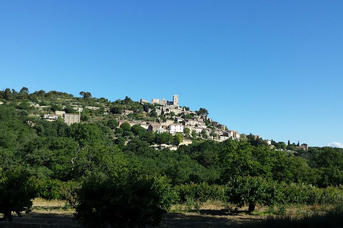 Luberon, Roussillon & Gordes Half-Day Tour from Avignon - Price and value: what $96.79 buys you