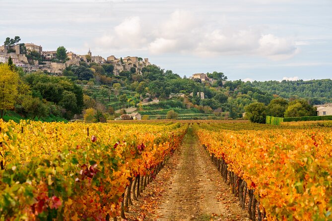 Luberon Small-Group Day Trip from Avignon - What to bring and how to pace yourself