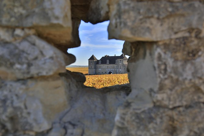 Luxury Luxury Wine Tour Experience - Why Burgundy gets so confusing, and how this tour fixes it