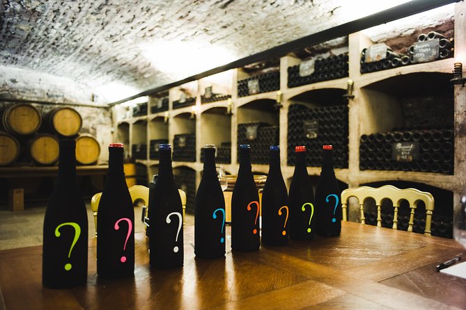 Luxury Luxury Wine Tour Experience - Three domain visits: different styles, one shared obsession with place