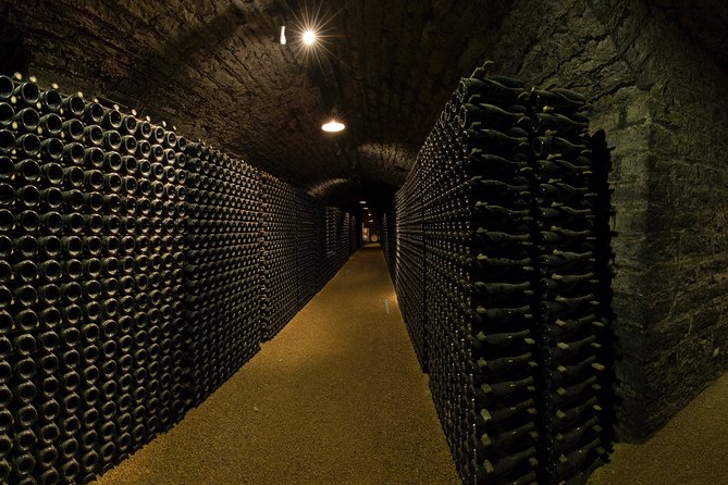 Luxury Luxury Wine Tour Experience - 18 wines tasting: what you should look for during the Premier Cru and Grand Cru lineup