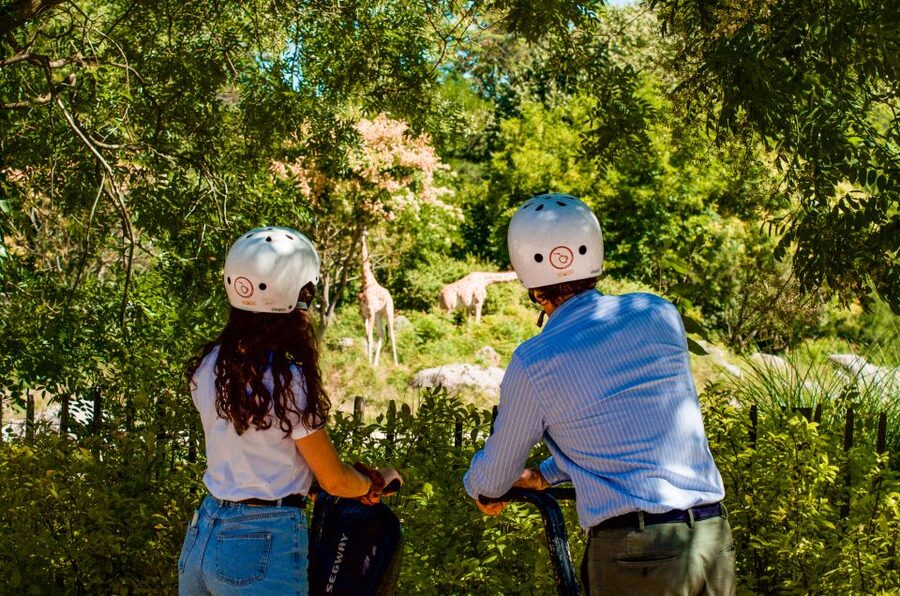 Lyon: City Highlights Segway Tour - Starting at Vieux-Lyon, and that training you should take seriously
