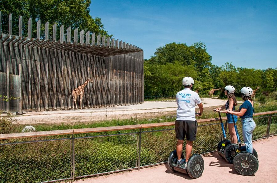 Lyon: City Segway Tour with a Local Guide - Should you book this Lyon Segway tour?