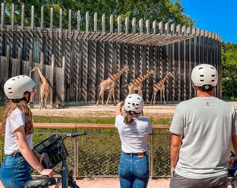 Lyon: Parc Tête d'Or eBike Tour - Following the Rhône to Parc de la Tête d’Or, without the usual stress