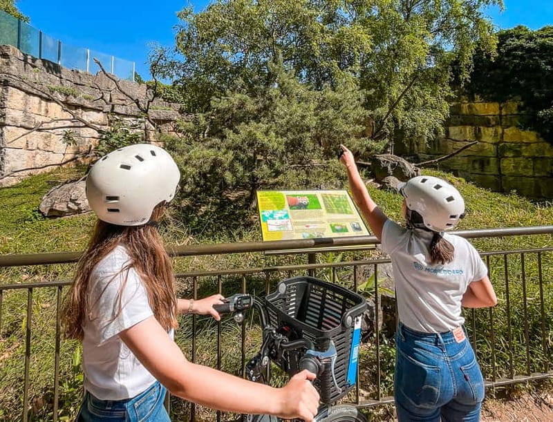 Lyon: Parc Tête d'Or eBike Tour - Price and value: why about $40 feels fair for two hours