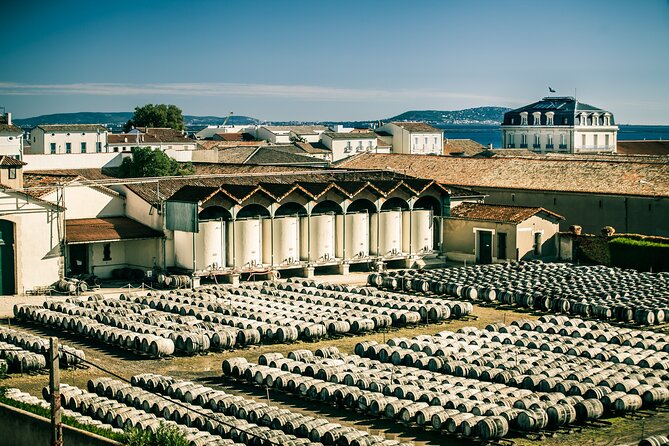 Maison Noilly Prat VIP tour, wine and vermouth tastings - Maison Noilly Prat VIP: What You Actually Get in 90 Minutes