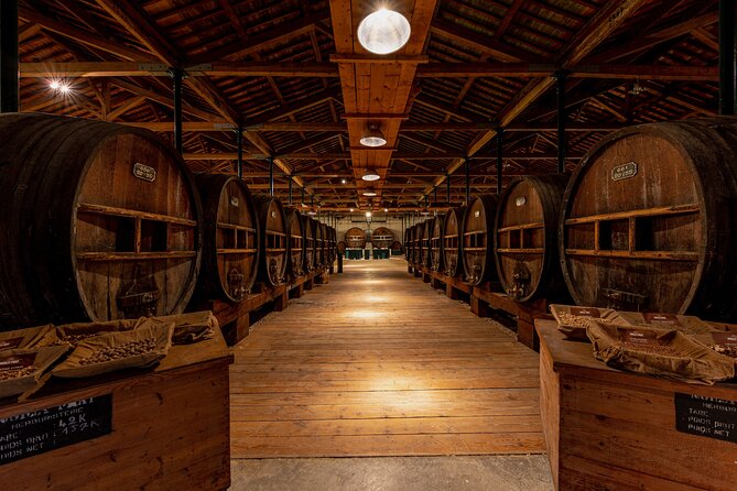 Maison Noilly Prat VIP tour, wine and vermouth tastings - Entering the Vermouth Estate: Historical Tour Meets Real Cooperage