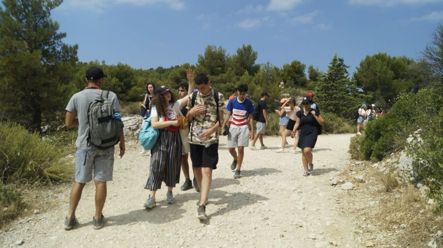 Marseille: Calanques National Park Guided Hike with Picnic - Who This Calanques Hike Fits Best, and Who Should Skip It