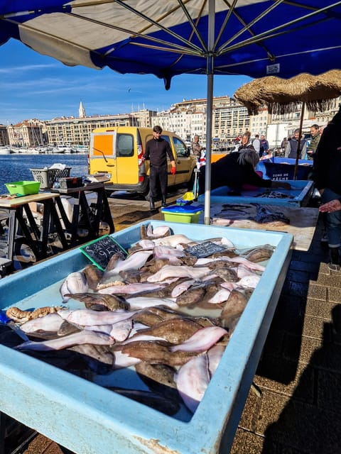Marseille: découvrir la vieille ville avec un marseillais - Retour au Vieux-Port: la dernière leçon, comprendre un lieu vivant