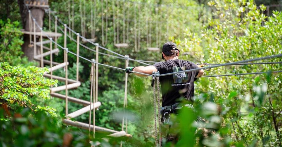 Marseille: Ecopark Adventures Treetop Adventure - Should you book Ecopark Adventures Marseille Saint-Jérôme?