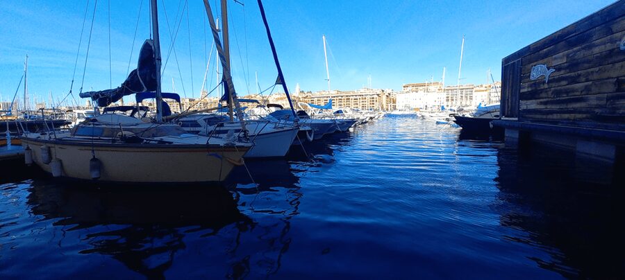 Marseille: Essential Guided Walking Tour of the City - Le Pharo and Palais du Pharo terraces: the view payoff