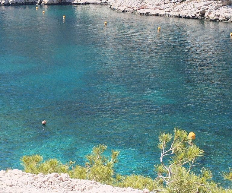 Marseille: Guided Hiking Calanques National Park from Luminy - What to Bring (and What Could Make You Miserable)