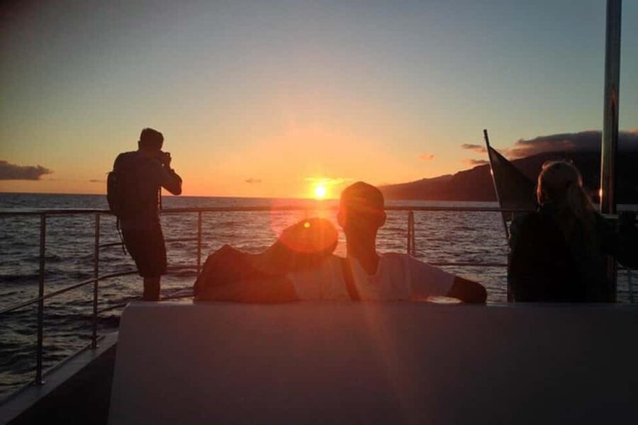 Marseille: Sunset catamaran cruise, buffet & drinks - Who should book this Marseille sunset catamaran cruise