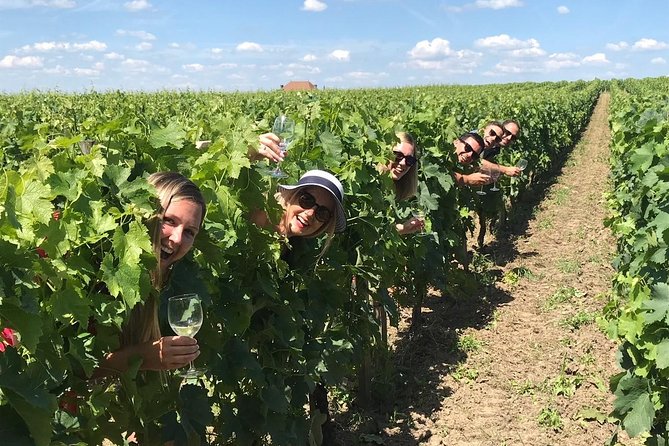 Medoc or Saint Emilion Wine Tasting and Chateau from Bordeaux - Medoc vs Saint-Emilion: pick your mood