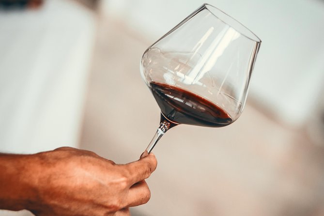 Medoc Region Wine Day Trip with Vineyard Visits & Tastings from Bordeaux - Key Points You Should Know Before Booking