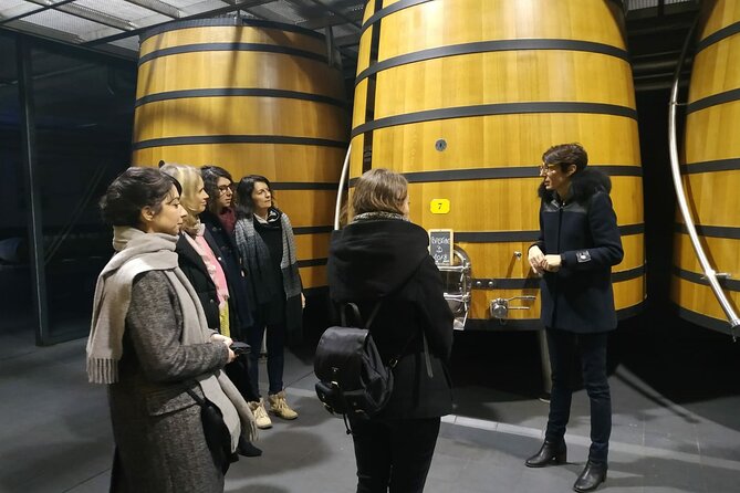 Medoc Region Wine Day Trip with Vineyard Visits & Tastings from Bordeaux - Médoc From Bordeaux: What This Day Trip Really Gives You