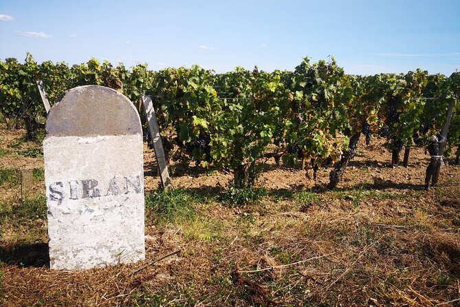 Medoc Region Wine Day Trip with Vineyard Visits & Tastings from Bordeaux - Pauillac Free Time: Lunch on Your Terms and a Real Break