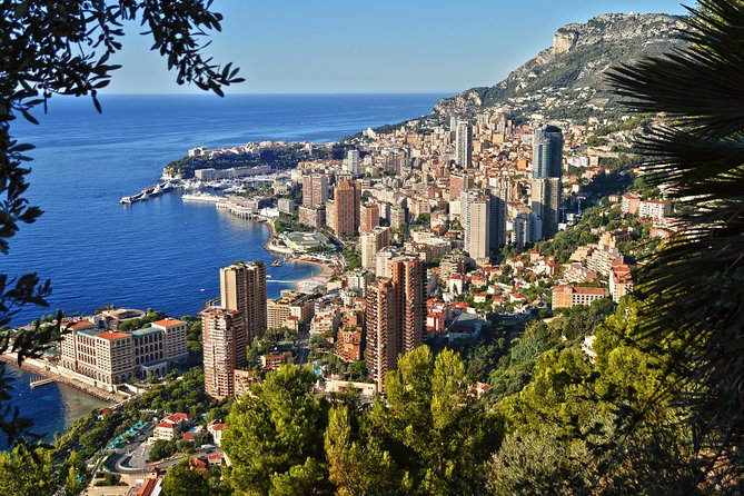 Monaco and Eze Small Group Day Trip from Cannes - Key highlights in plain terms