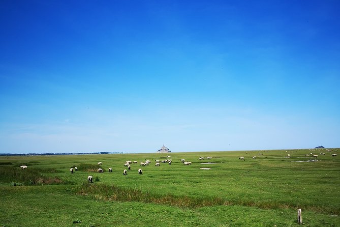 Mont Saint-Michel Day Trip from Bayeux (Shared tour) - Practical tips to make the day smoother