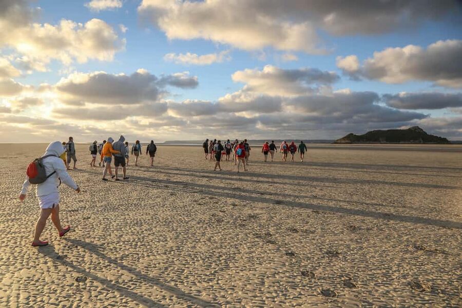 Mont-saint-Michel : Walk in the heart of the Bay - Key highlights you will feel right away