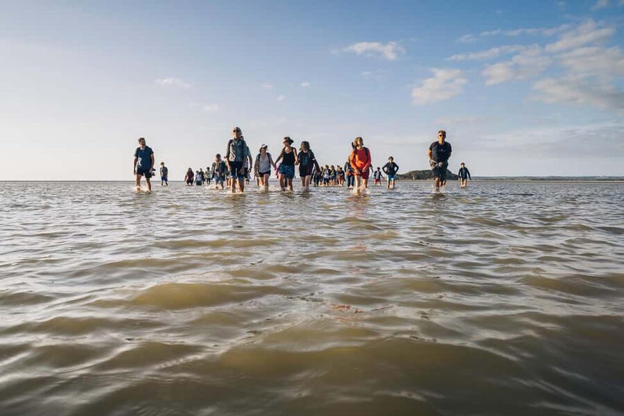 Mont-saint-Michel : Walk in the heart of the Bay - Quicksand tips that make you safer (and calmer)