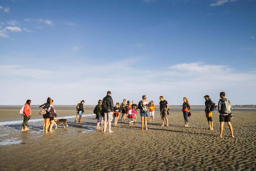 Mont-saint-Michel : Walk in the heart of the Bay - The 7km loop and why Tombelaine is worth the focus