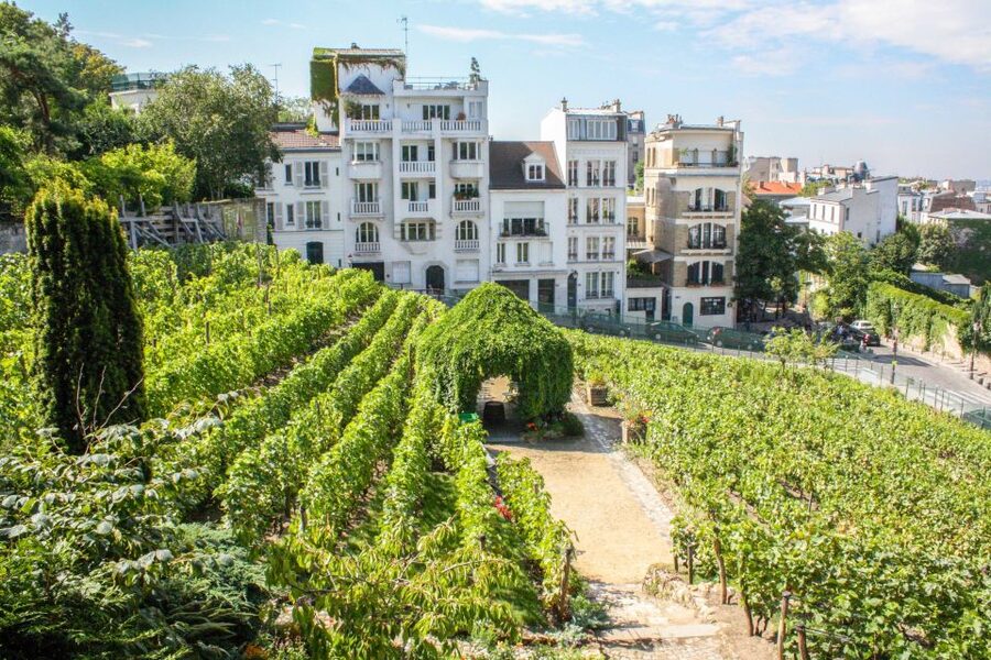Montmartre & Sacré Coeur: 2.5-Hour Walking Tour - The smart, 2.5-hour pace for a first Montmartre visit
