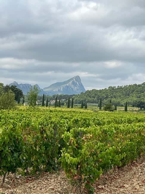 Montpellier: Pic Saint-Loup Wine Tour - Pic Saint-Loup wine country, just 20 km from Montpellier