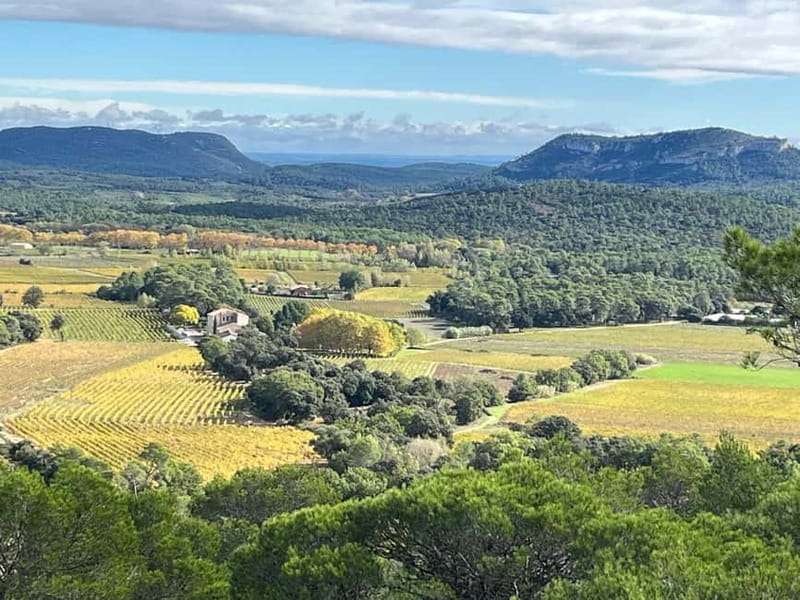 Montpellier: Pic Saint-Loup Wine Tour - What you learn during the tastings, and how to use it later