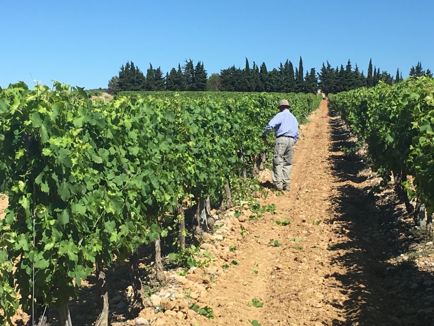 Montpellier Wine and Oyster Tour - Key Things I’d Focus On Before You Go