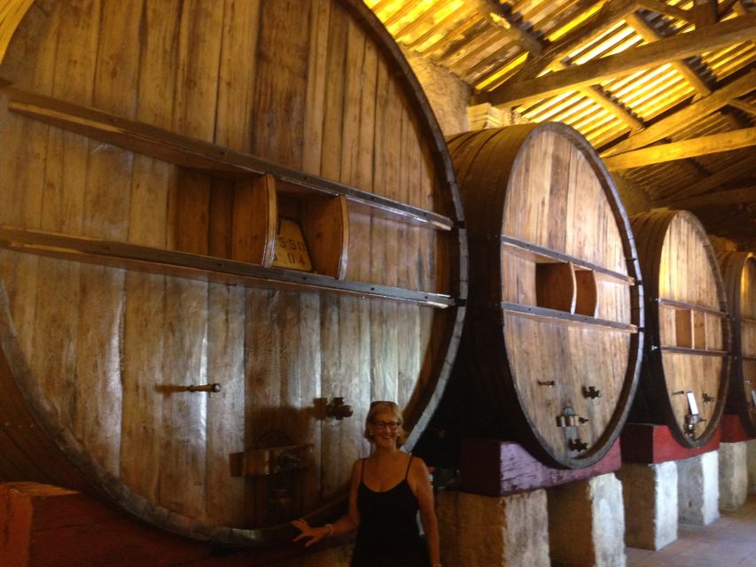 Montpellier Wine and Oyster Tour - A 10AM Start That Actually Works