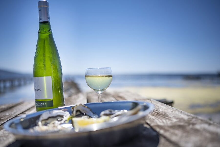 Montpellier Wine and Oyster Tour - The Wine Tasting: White, Red, and Rosé, With Real Context