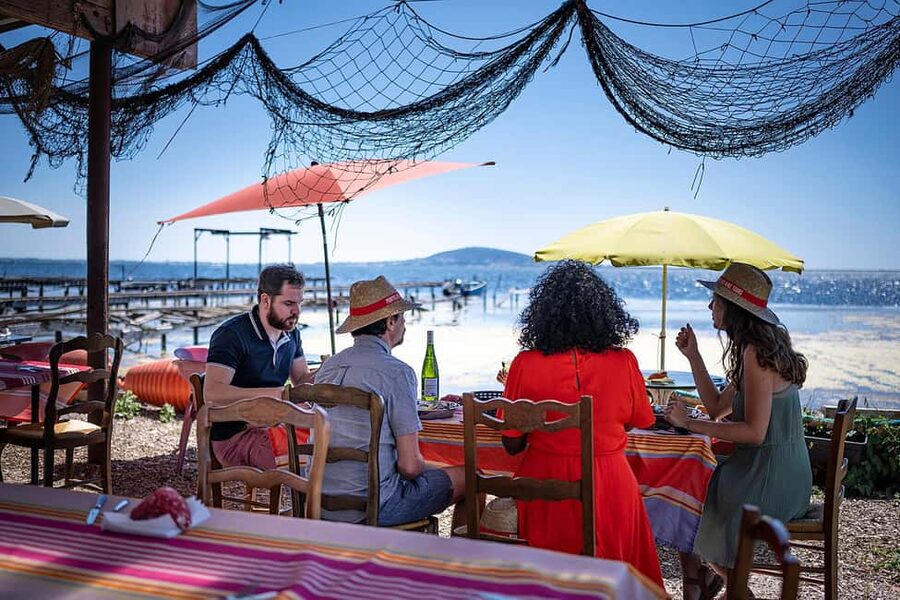 Montpellier Wine and Oyster Tour - How the Estate Visit Helps You Understand the Oyster Stop