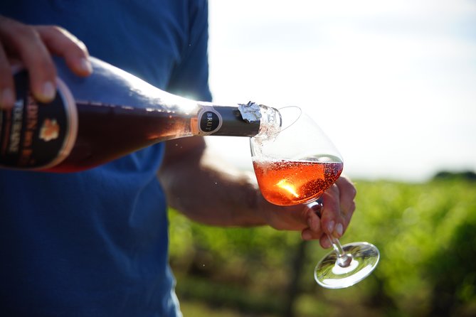 Morning - Loire Valley Wine Tour & Food Pairing, Vouvray - Key highlights you will feel right away