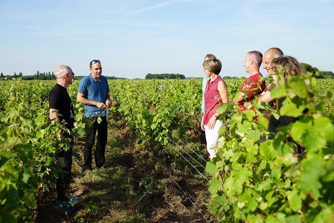 Morning - Loire Valley Wine Tour & Food Pairing, Vouvray - Why Vouvray at 9:00 am makes sense