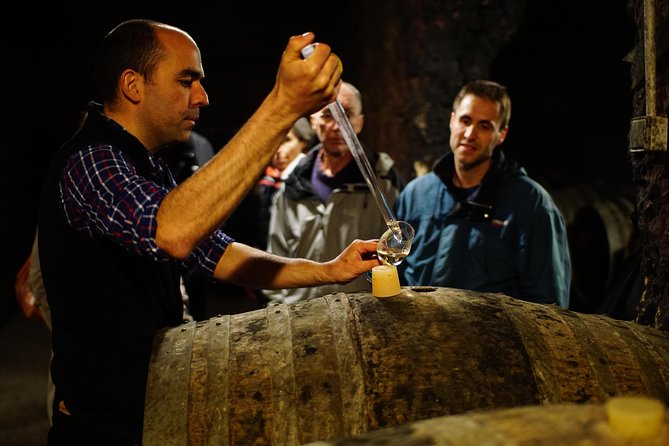 Morning - Loire Valley Wine Tour & Food Pairing, Vouvray - Domaine Le Capitaine: vineyard walk, underground cellar, and first tastings