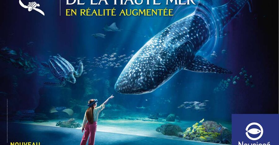 Nausicaá National Sea Center: Full-Day Entry Ticket - How the included animations change the mood of your visit