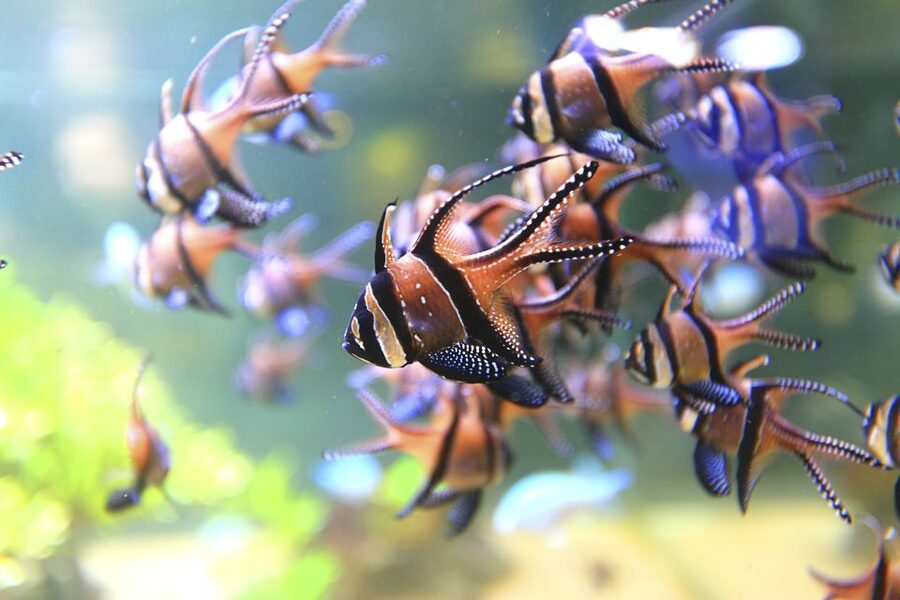 Nausicaá National Sea Center: Full-Day Entry Ticket - The exhibition halls: science meets real-world topics