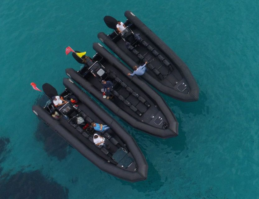 Nice: 1h30 nautical excursion to Cap Ferrat - Price and Value: Is $63 Worth 90 Minutes on the Water?